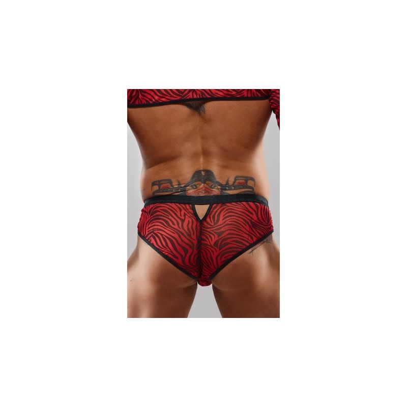 Slip type brésilien zébré rouge et noir - Regnes