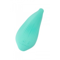 Mini vibro rechargeable DelightfulWave vert - FairyGasm