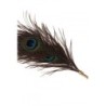 Plumeau à caresses Peacock Tickler - Taboom