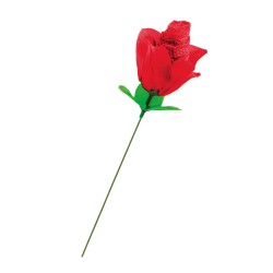 Rose surprise avec petite culotte - Fun Novelties